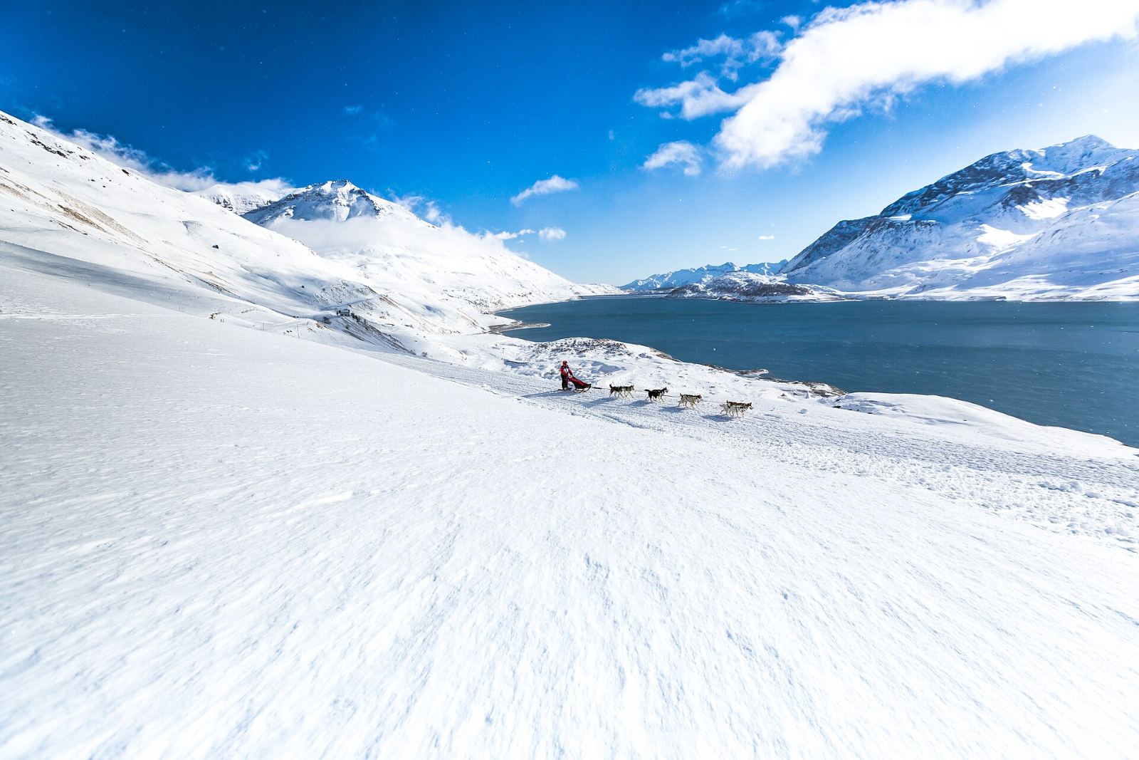 Hundeschlittengespann